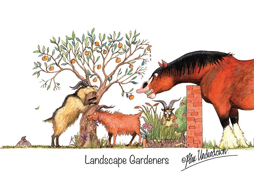 Horse and Goat greeting card "Landscape Gardeners" by Alex Underdown.