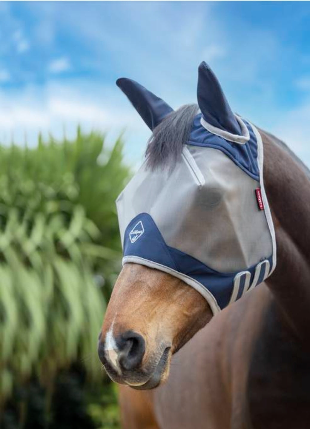 Le mieux armour shield fly mask