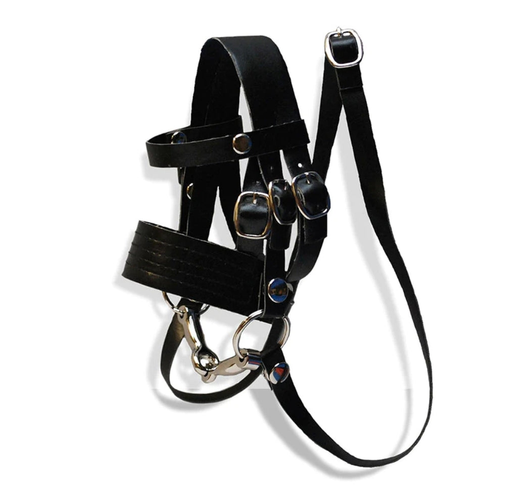 Crafty pony bridle