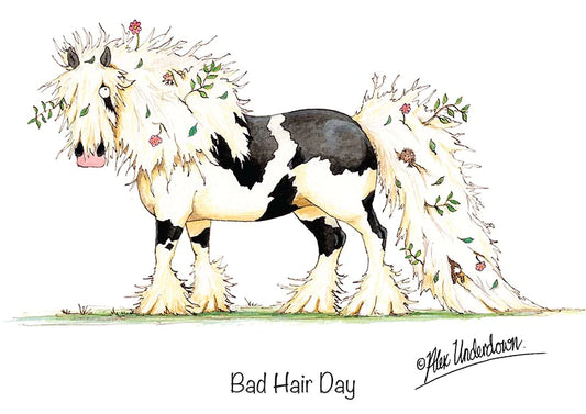 Horse greeting card "Bad Hair Day" by Alex Underdown.